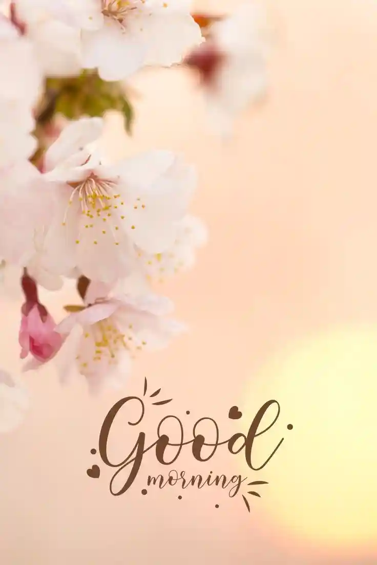 beautiful-good-morning-images beautiful-good-morning-images