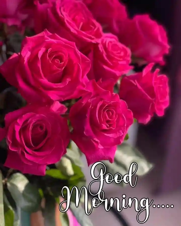 beautiful-good-morning-images beautiful-good-morning-images